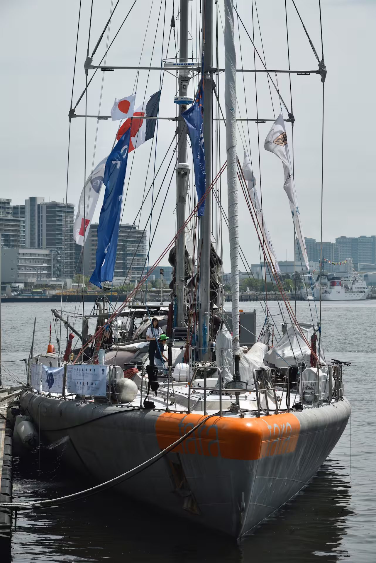 世界の海を行く探査船「タラ号」にお邪魔して