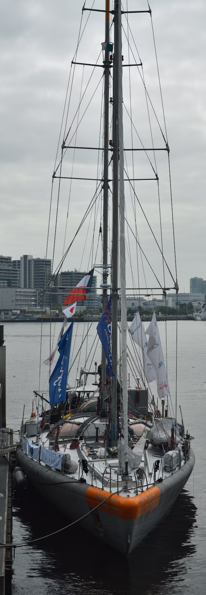 探査船「タラ号」の外観